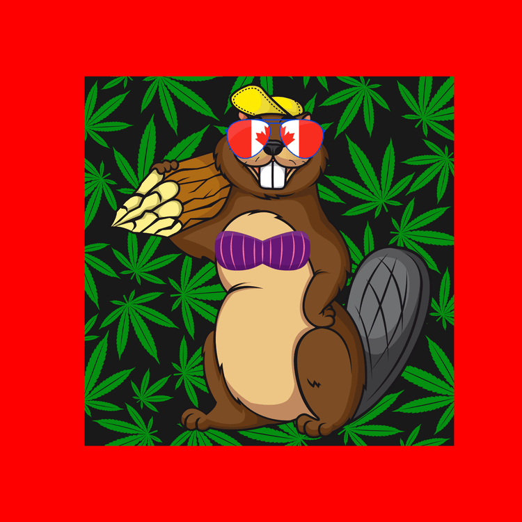 great white north - Raelfly