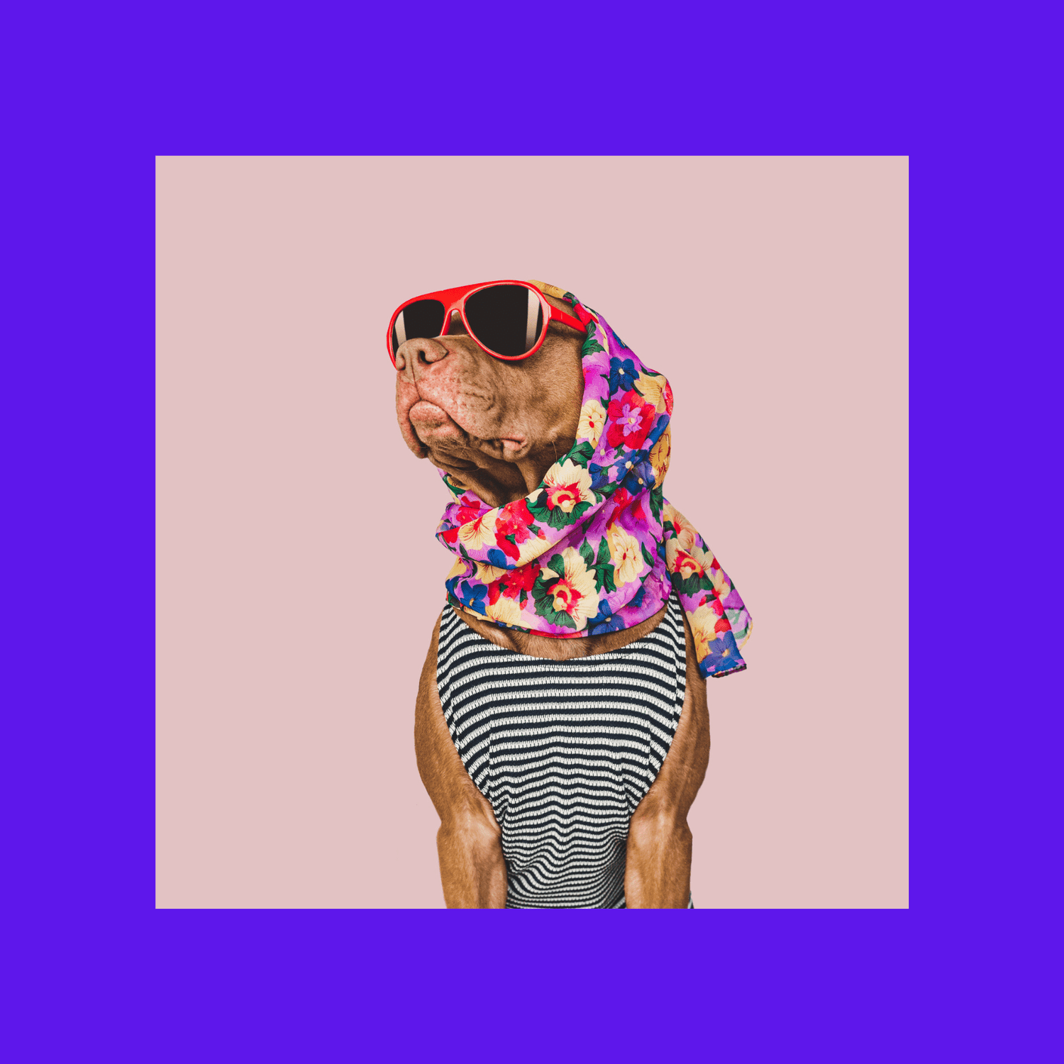 super-duper - Raelfly